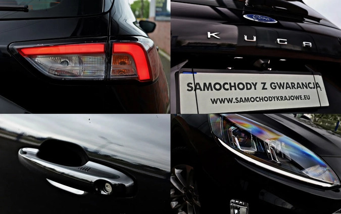 Ford Kuga cena 109900 przebieg: 10000, rok produkcji 2023 z Błonie małe 781